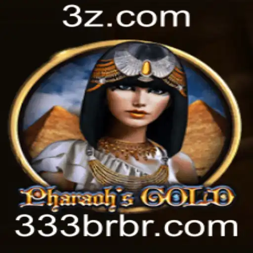 333br Casino App